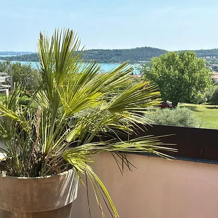 Sunshine Luxury